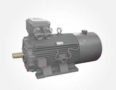 单相电机短路环烧黑能用吗（介绍单相电机故障及处理方法）