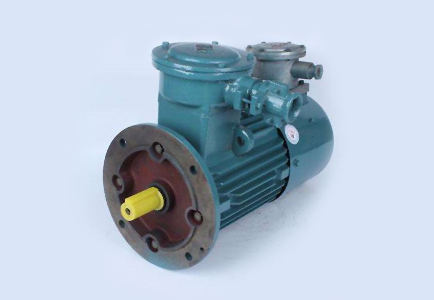 伍育直流无刷电机，无刷电机的特点和应用